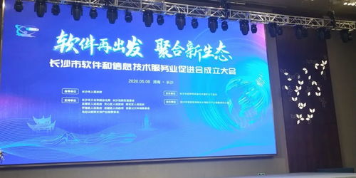 長(zhǎng)沙市軟件和信息技術(shù)服務(wù)業(yè)促進(jìn)會(huì)隆重召開，搜云科技受邀共商科技信息咨詢服務(wù)新藍(lán)圖