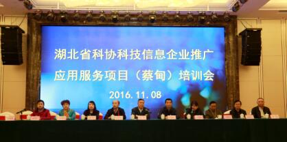科技信息服務(wù)新篇章 2016年武漢蔡甸企業(yè)推廣應(yīng)用項(xiàng)目培訓(xùn)圓滿舉行